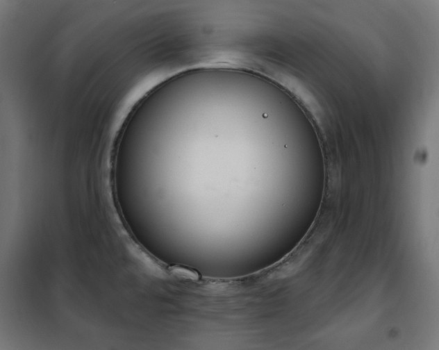 X0000101151480200807071138