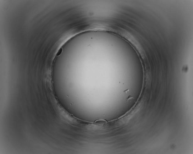 X0000101151481200807071137