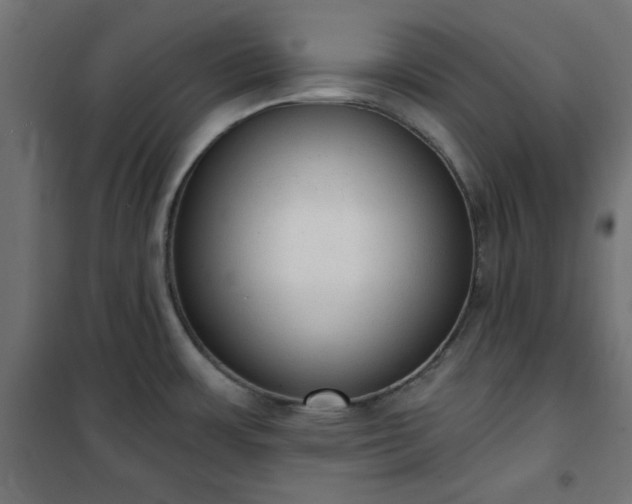 X0000101151483200807071137