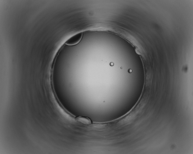 X0000101151484200807071137