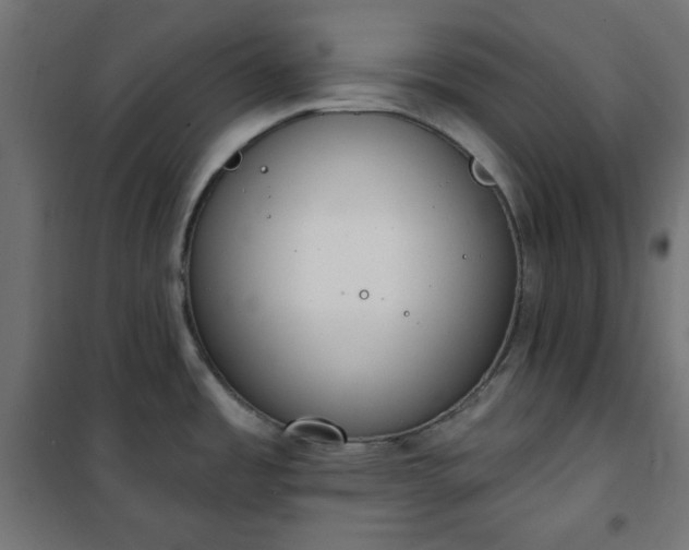 X0000101151485200807071137