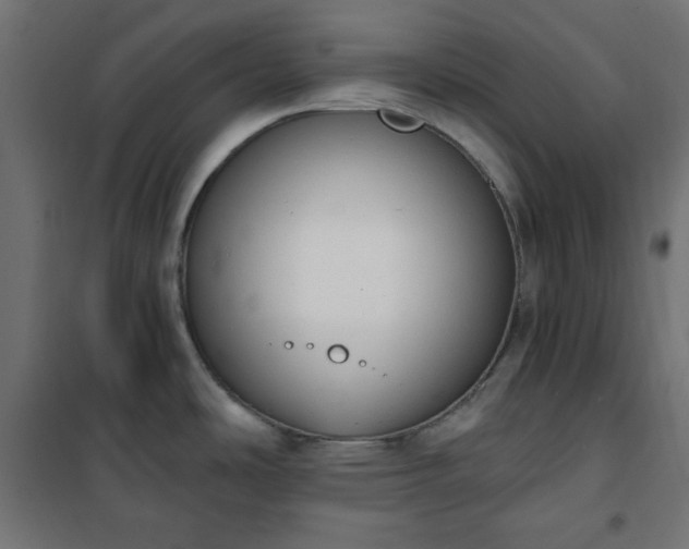 X0000101151486200807071137