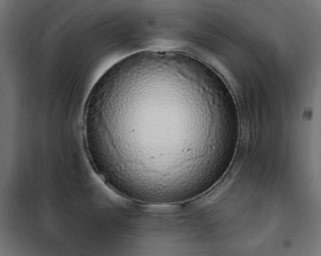 X0000101151487200807071137