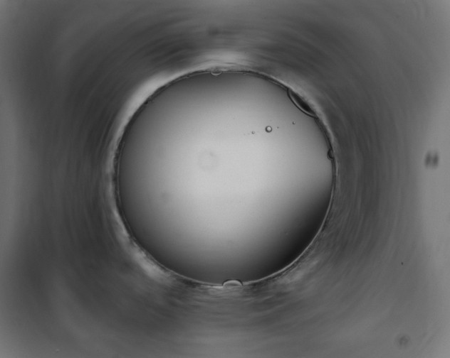 X0000101151488200807071137