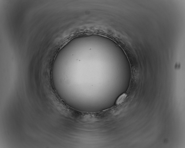 X0000101151489200807071137