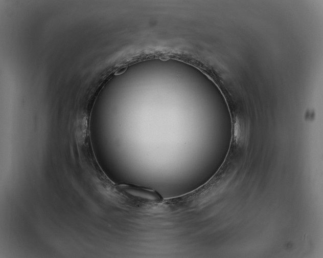 X0000101151492200807071137