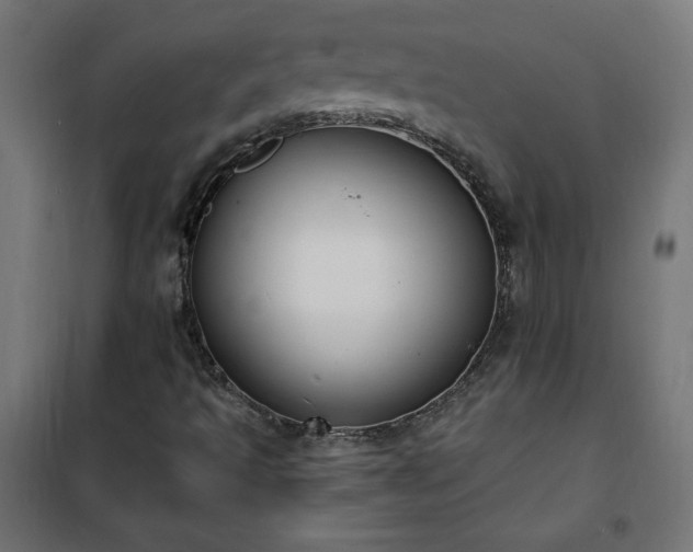 X0000101151493200807071137