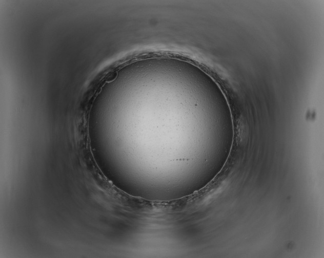 X0000101151494200807071137