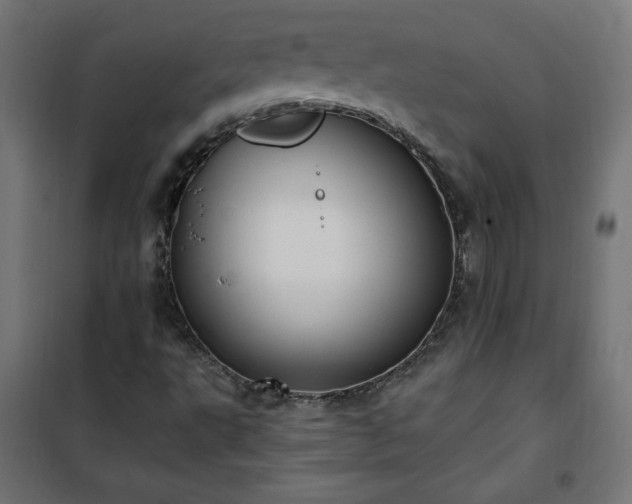 X0000101151495200807071137