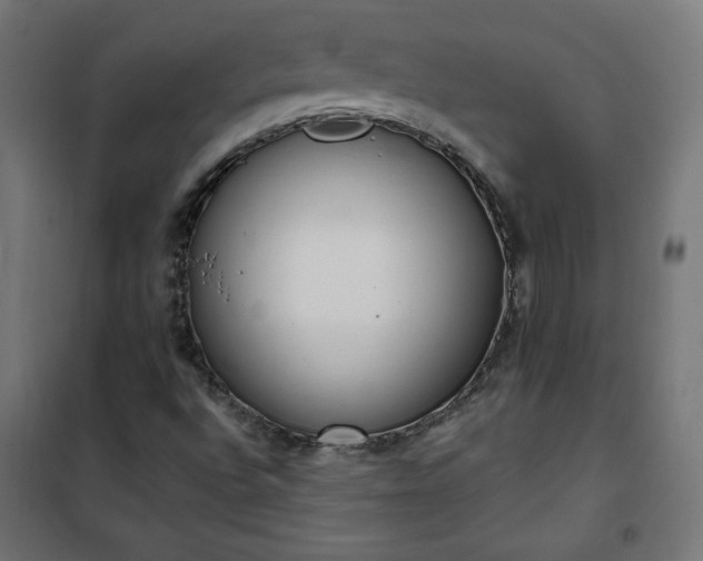 X0000101151496200807071137