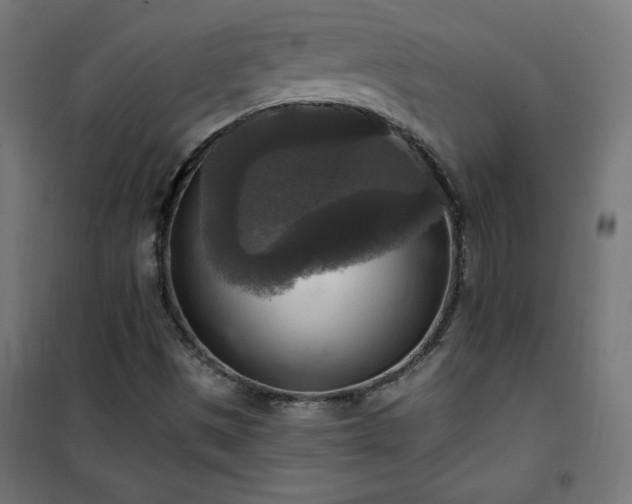 X0000101151497200807071137