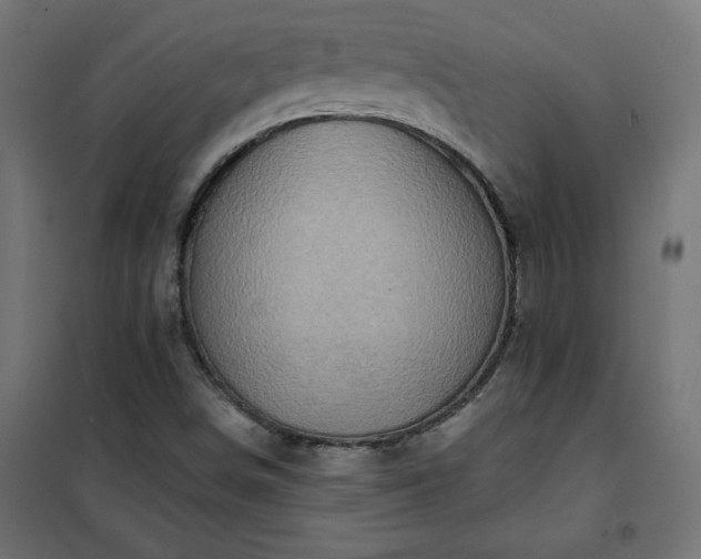 X0000101151498200807071137