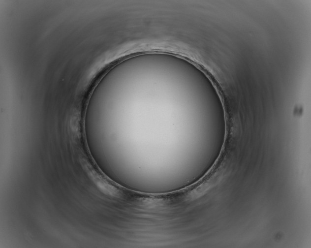 X0000101151499200807071137