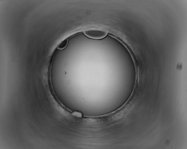 X0000101151500200807071137