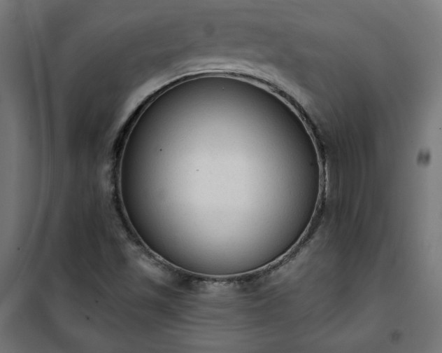 X0000101151501200807071137