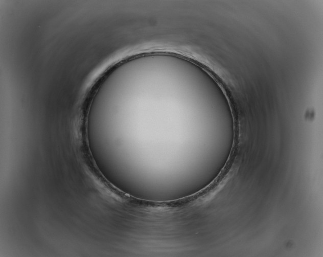 X0000101151502200807071137