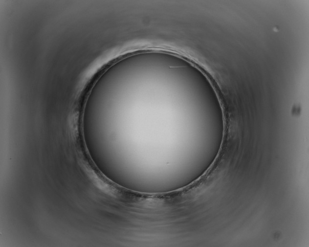 X0000101151503200807071137