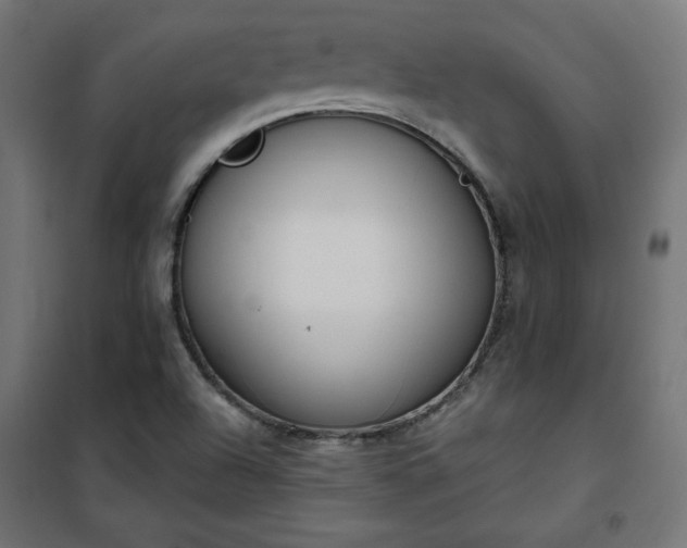 X0000101151504200807071137