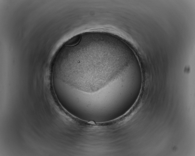 X0000101151506200807071137