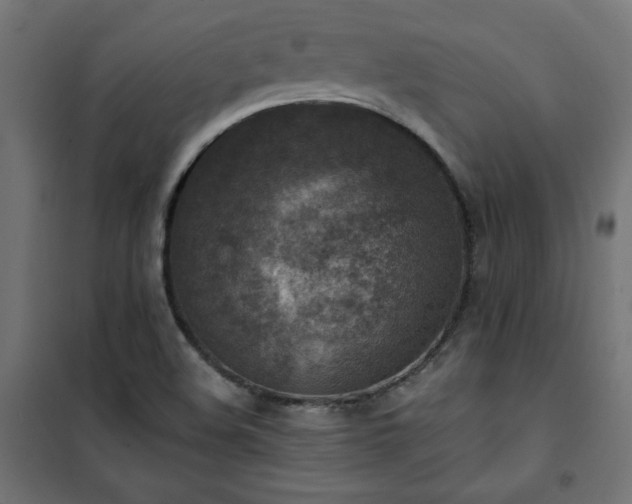 X0000101151508200807071137