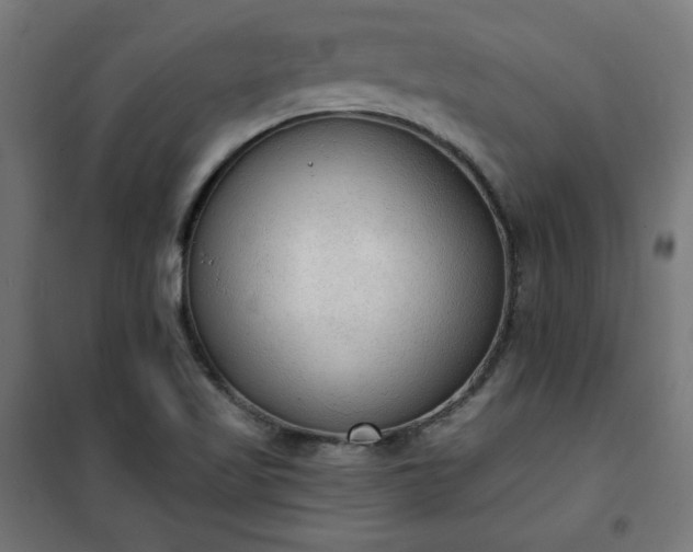 X0000101151509200807071137