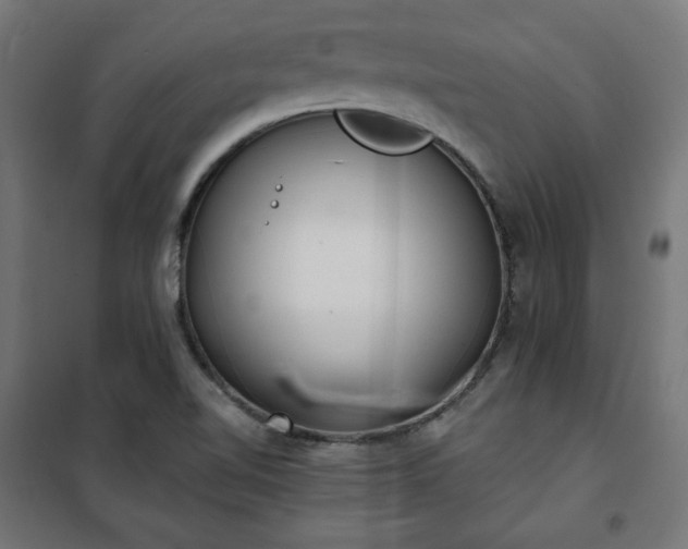 X0000101151510200807071137