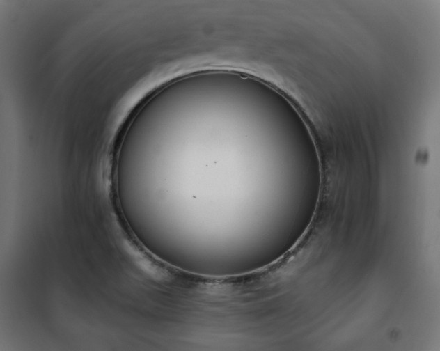 X0000101151511200807071137