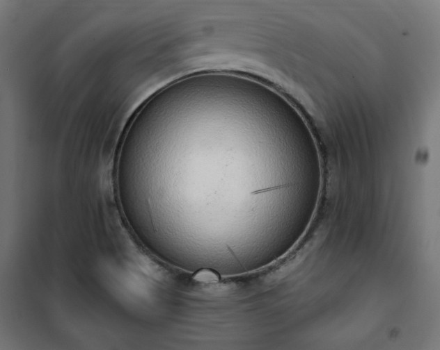 X0000101151513200807071137