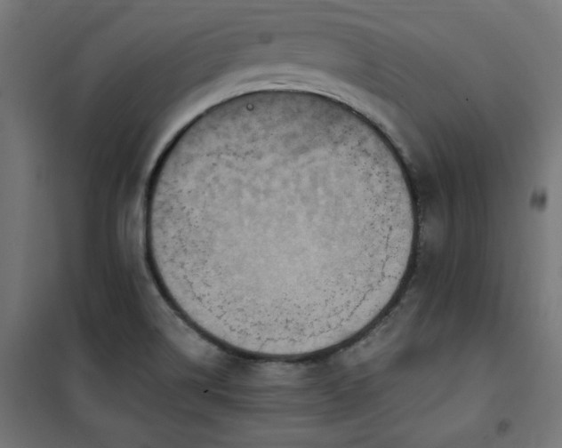 X0000101151514200807071137