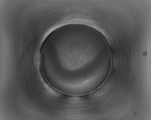 X0000101151515200807071137