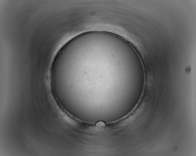 X0000101151517200807071137