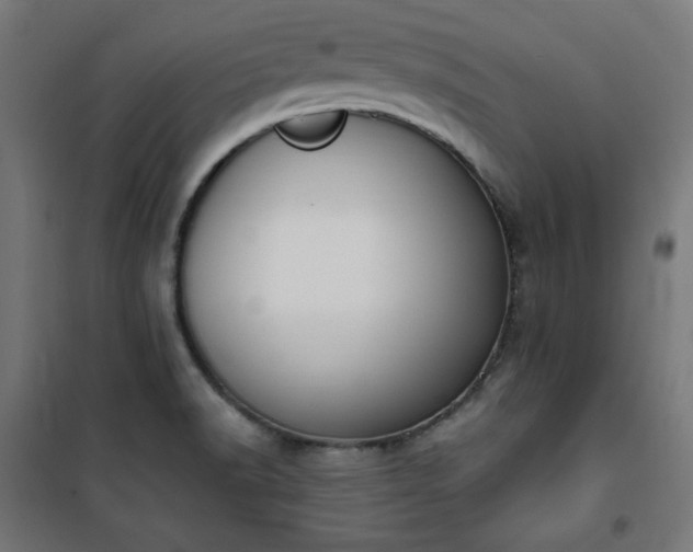 X0000101151518200807071137