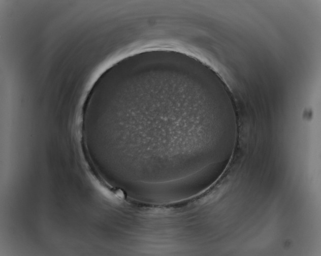 X0000101151519200807071137