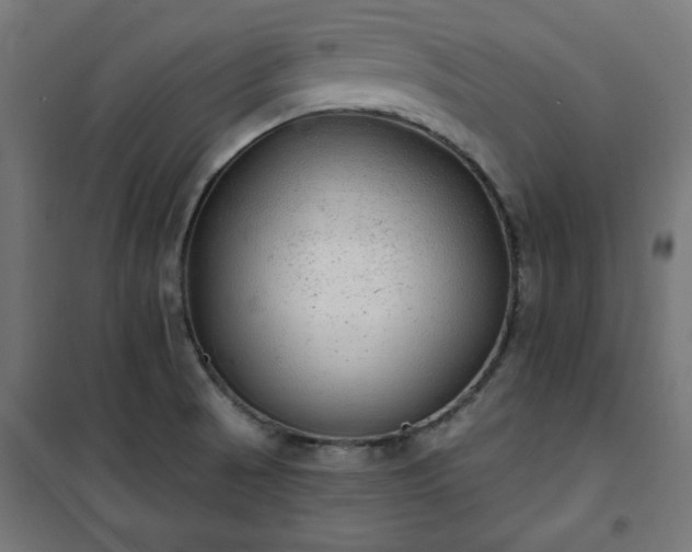 X0000101151521200807071137