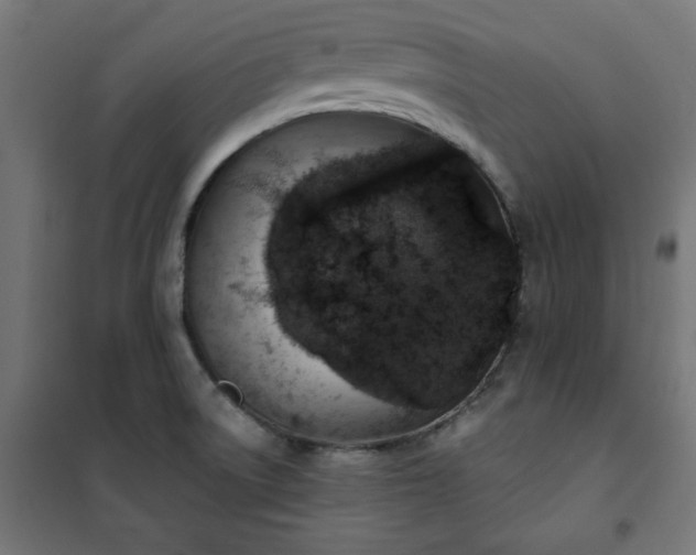 X0000101151522200807071137