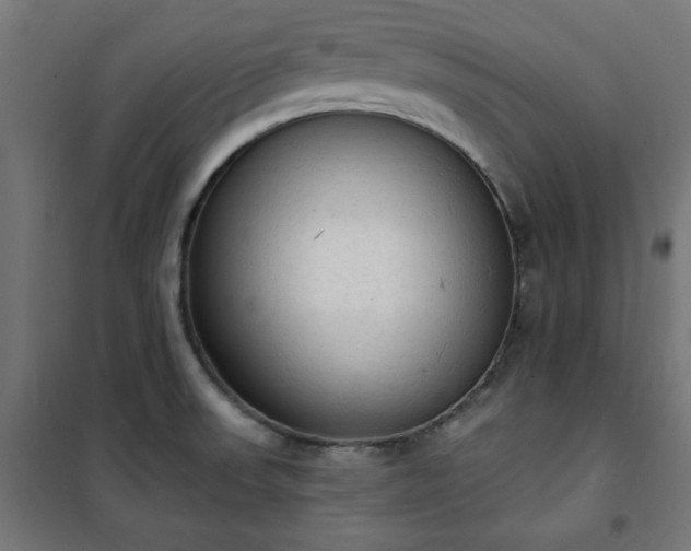 X0000101151523200807071137