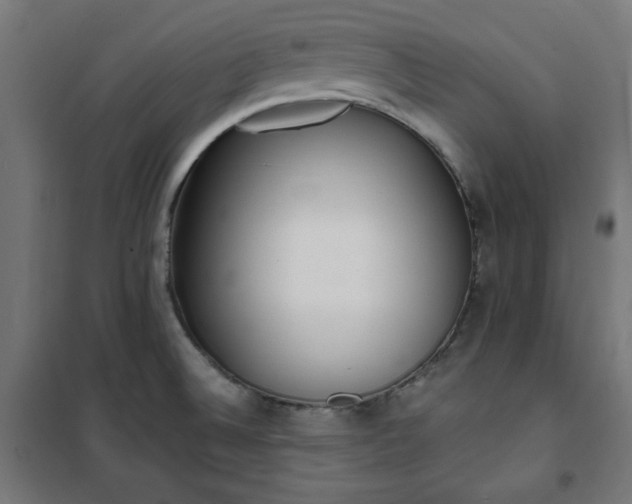 X0000101151524200807071137