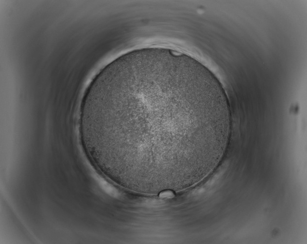 X0000101151525200807071137