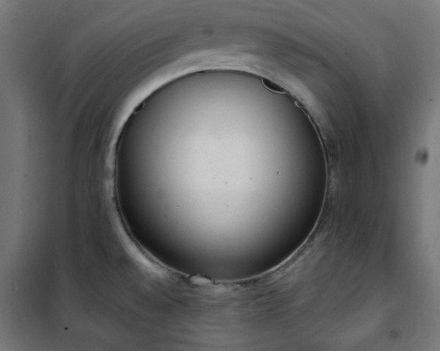 X0000101151528200807071137