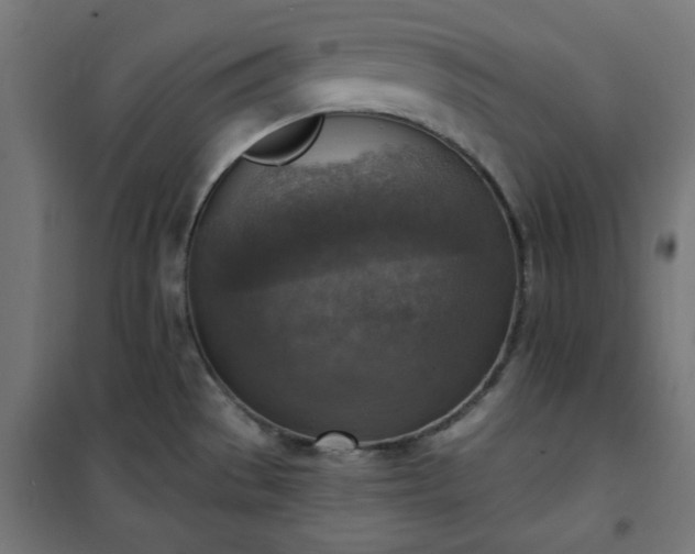 X0000101151529200807071137