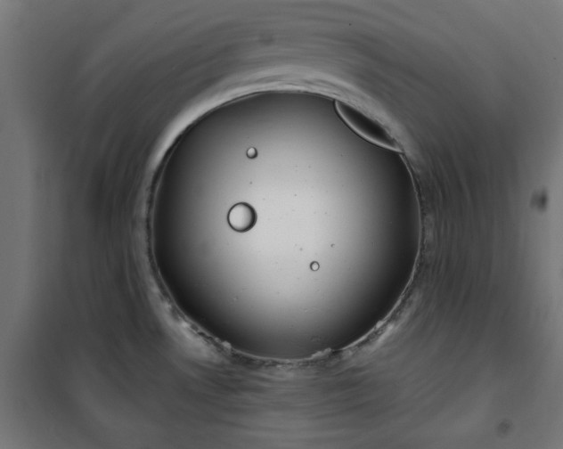 X0000101151530200807071137