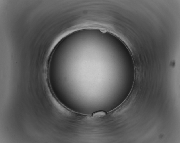 X0000101151531200807071137