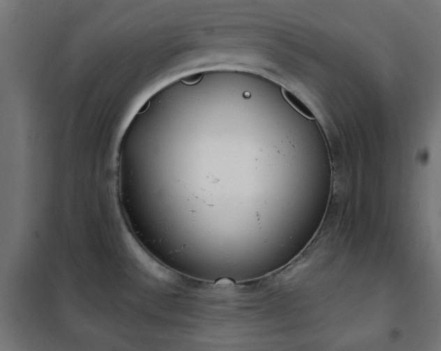 X0000101151532200807071137