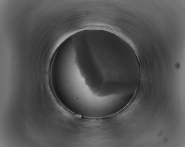 X0000101151533200807071137