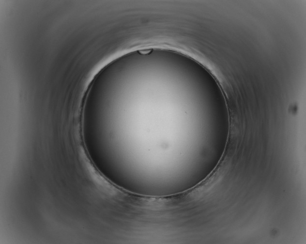 X0000101151534200807071137