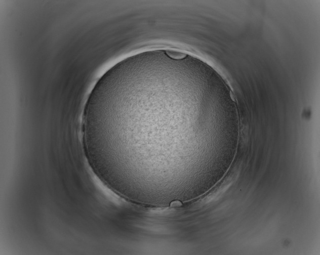 X0000101151535200807071137