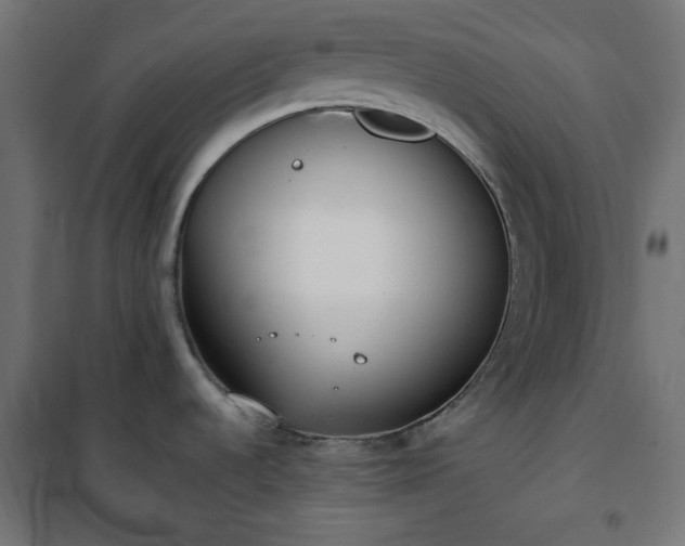 X0000101151536200807071137