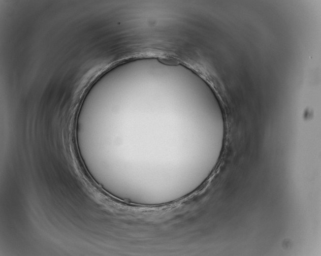 X0000101150001200807111016