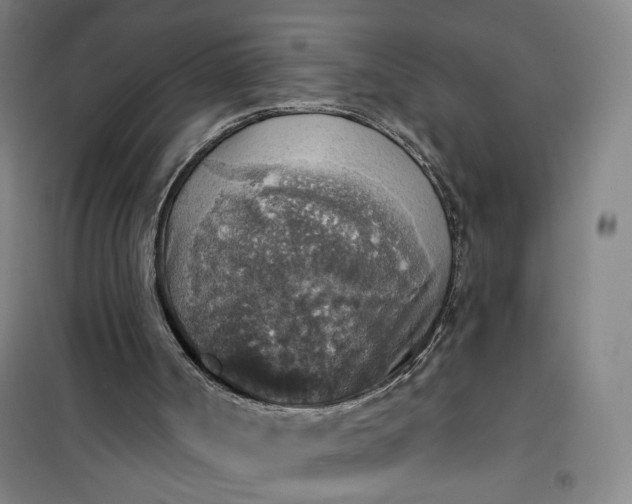 X0000101150002200807111016