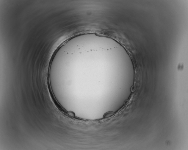 X0000101150003200807111016